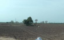 เหนือ-อีสานยังประสบปัญหาภัยแล้ง