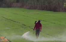 ภัยแล้งกระทบพื้นที่เกษตรกรรม