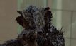ผู้กำกับไซไฟ District 9 ส่งตัวอย่างหนังทดลองเรื่องสั้นให้แฟนชม