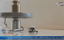 หุ่นยนต์จิ๋วพลังช้าง