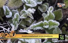 เหมยขาบดอยอินทนนท์-ซากุระม่อนแจ่มบาน