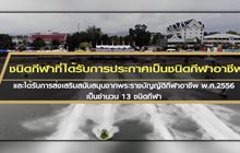 ตัวชี้วัดประเมินผลการดำเนินการกีฬาอาชีพ