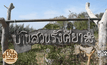 อดีตผู้ใหญ่บ้าน ปลดหนี้ด้วยเกษตรทฤษฎีใหม่