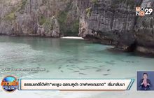 ธรรมชาติได้พักฟื้น! “พะยูน-ฉลามหูดำ-วาฬเพชฌฆาต” เริ่มกลับมา