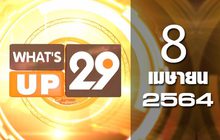 What’s Up 29 08-04–64