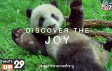 ภ.สารคดี “Earth: One Amazing Day เอิร์ธ 1 วันมหัศจรรย์โลก” พร้อมให้รับชมแล้ววันนี้ที่ MONOMAX