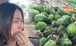 เตือน! ขายทุเรียนอ่อน โทษหนัก จำคุก 3 ปี ปรับ 6 หมื่นบาท
