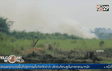 สถานการณ์หมอกควัน-ไฟป่าอินโดนีเซียยังรุนแรง