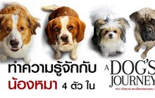 ทำความรู้จักกับน้องหมาสี่ตัว ใน A Dog’s Journey หมา เป้าหมาย และเด็กชายของผม 2