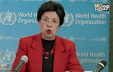 WHO ประกาศภาวะฉุกเฉินเรื่องไวรัสซิกา