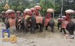 สั่งย้ายปางช้างอยุธยาฯ พ้นโบราณสถานใน 30 วัน