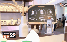 ชาวเกาะ