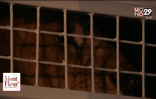 Motion News Break 2 (01-05-59)