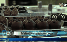 โกโก้ชุบชีวิตเกษตรกรแคเมอรูน