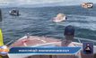 พบซากวาฬบรูด้า ลอยตายกลางทะเลประจวบฯ