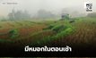 สภาพอากาศวันนี้ ไทยตอนบนอุณหภูมิสูงขึ้น แต่ยังหนาวเย็น-มีหมอกเช้า / ภาคใต้ฝนลด