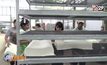 ต่อยอดงานวิจัยเพิ่มมูลค่าหมอนยางพาราส่งออก