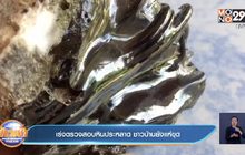 เร่งตรวจสอบหินประหลาด ชาวบ้านยังแห่ขุด