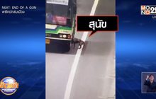 ขอบคุณ พนักงาน ปอ.166 ช่วยชีวิต”น้องหมา”รับจากทางด่วน