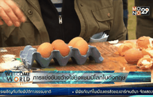 การแข่งขันขว้างไข่ในอังกฤษ