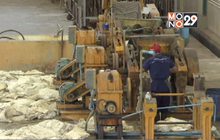 เร่งรัดมาตรการเยียวยาหลังแบนสารเคมี