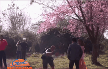 Good Morning Thailand 15-01-59