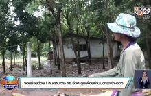 วอนช่วยด้วย ! หมดหนทาง 16 ชีวิต ถูกเพื่อนบ้านปิดทางเข้า-ออก