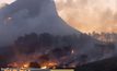 เกิดไฟป่าบนภูเขาในเมืองเคปทาวน์ของแอฟริกาใต้