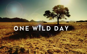 One Wild Day ชีวิตต้องรอด