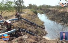 ภัยแล้ง กระทบมันสำปะหลัง-นาข้าวยืนต้นตาย