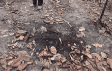 ญาติร้องรื้อคดีนายทุนเงินกู้คาดถูกเผานั่งยาง จ.อุดรธานี