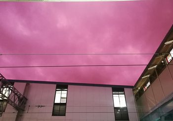 แปลกตา! ท้องฟ้าสีชมพู ก่อนพายุไต้ฝุ่นฮากิบิส ถล่มญี่ปุ่น