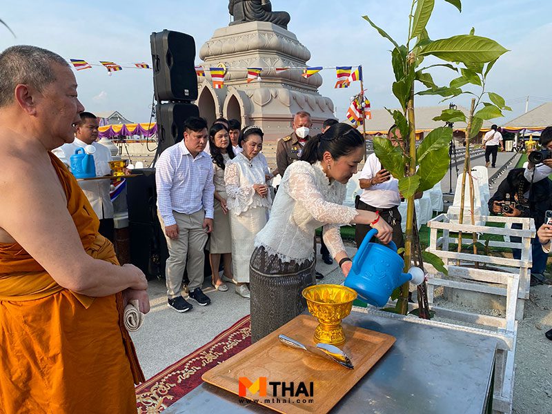 ต้นมณฑารพ