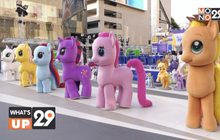 ครั้งเเรกในประเทศไทย กับการรวมตัวครั้งยิ่งใหญ่ของม้าน้อย My Little Pony