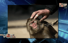 Welcome World 05-02-59