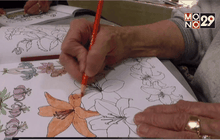 เอาชนะความเครียดด้วยการระบายสี