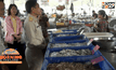 พบสารฟอร์มาลีนปนเปื้อนอาหารทะเลในตลาดนัด