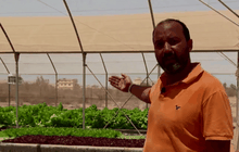 ฟาร์มเกษตร “อะควาโปนิก” ในอียิปต์