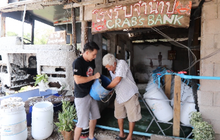 เจษฎาพาลุย : “โรงรับจำนำปู” เพิ่มประชากรปู เพิ่มรายได้ จ.ชุมพร