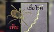 ระวัง “โรคลายม์”พบผู้ป่วยรายแรกในไทย