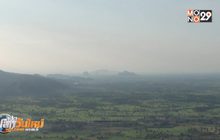 เที่ยวเนินมะปรางชมต้นไม้รูปหัวใจบนเขาหินปูน 