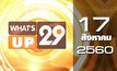 What’s up 29 17-08-60