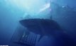 หนังฉลาม 47 Meters Down เปิดตัวแรงติดอันดับหนังอินดี้ทำเงินสูงสุด