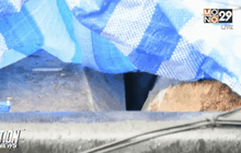 ตำรวจยืนยันทราบตัวกลุ่มผู้ก่อเหตุปล้นไม้พะยูง