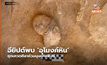 อียิปต์พบ ‘อุโมงค์หิน’ ซุกเศวตศิลาหัวมนุษย์-สฟิงซ์