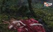 Tale of Tales ส่งต่อความสยองจากนิทานสู่จอหนัง