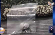 ตร.เกาะเต่าจับ นทท.จัดปาร์ตี้ยาเสพติด