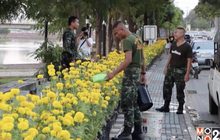 จัดวางดอกดาวเรืองยาว 1 กิโลเมตร