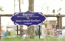 โครงการประชารัฐร่วมใจปลูกต้นไม้ให้แผ่นดิน