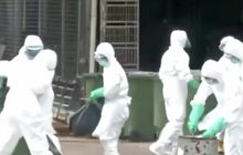 ไข้หวัดนก H5N1 ระบาดในฟาร์มไก่ที่จีน